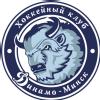 26.10.2010 - Матчи чемпионата КХЛ примет Бобруйск